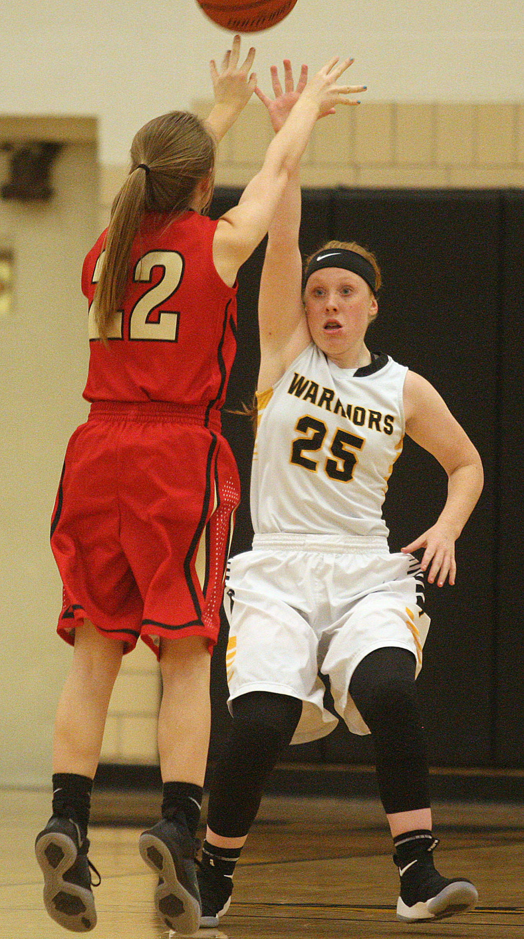 Tuscola vs ALAH girls basketball 7 1.8.18.jpg